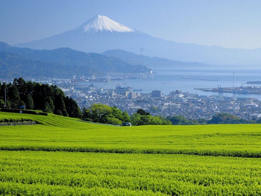 「静岡市のお茶」に関するアンケートへのご協力をお願いします！の画像